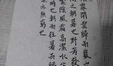 郎读者电影在线观看,穿越时光的深情告白